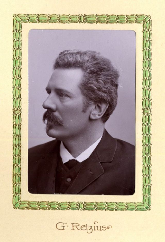Gustaf Retzius